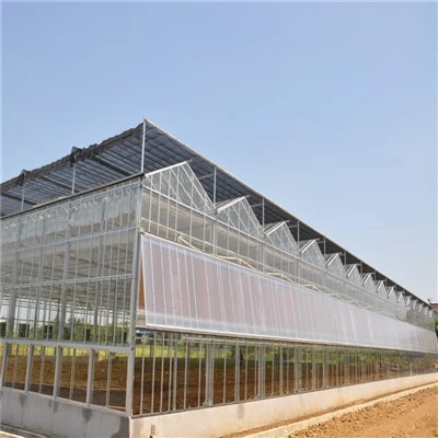 Venlo Intelligence Greenhouse