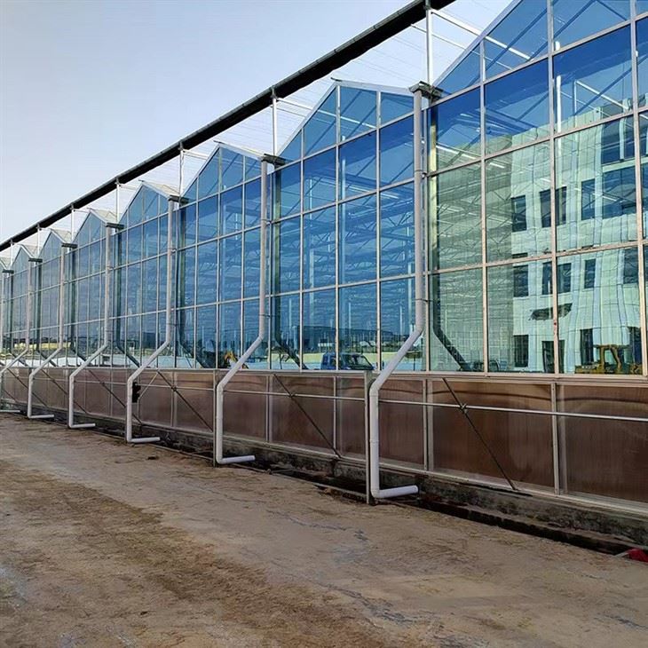 Rumah Kaca Intelijen Venlo