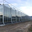 Rumah kaca China Venlo Glass untuk Timur Tengah