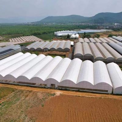 China Large Film Greenhouse