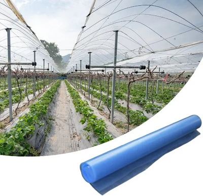 Greenhouses Film