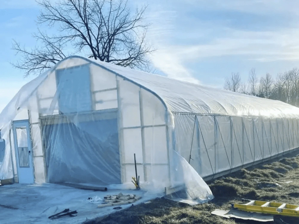Greenhouses Film Greenhouses Film